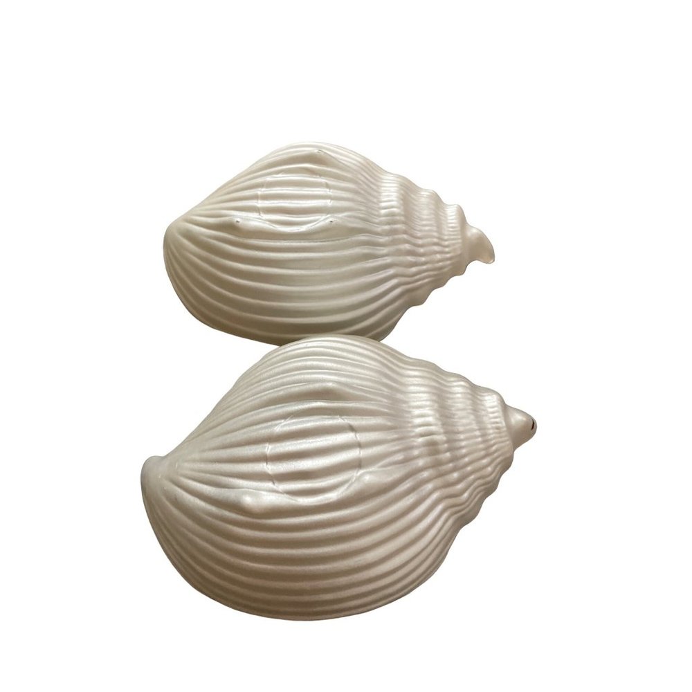 Sea shell - Picture 4 of 4